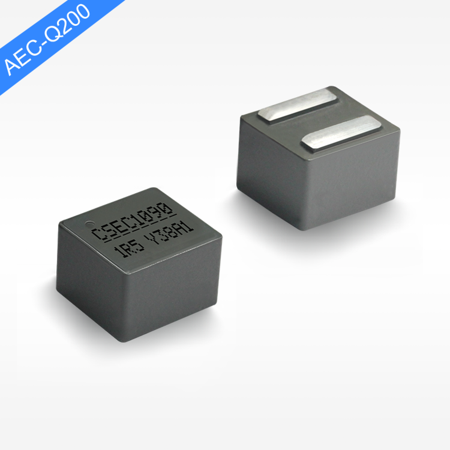CSEC1090