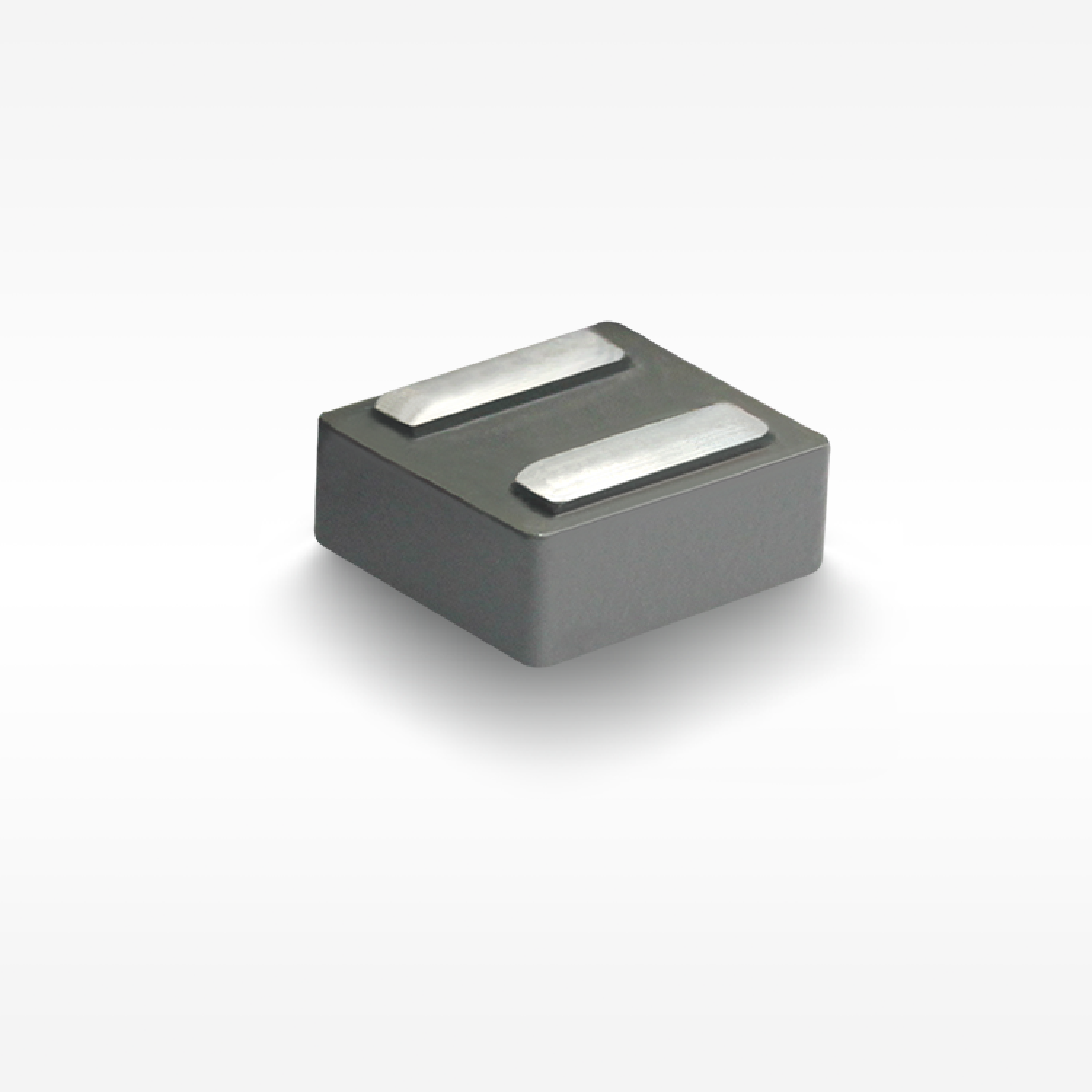 CSEB1060