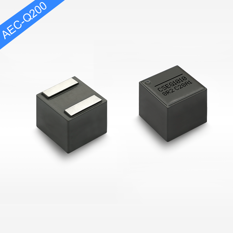CSEG1010