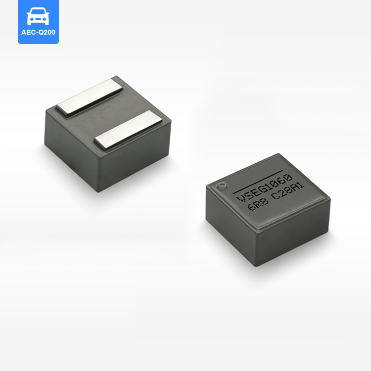 VSEG1060