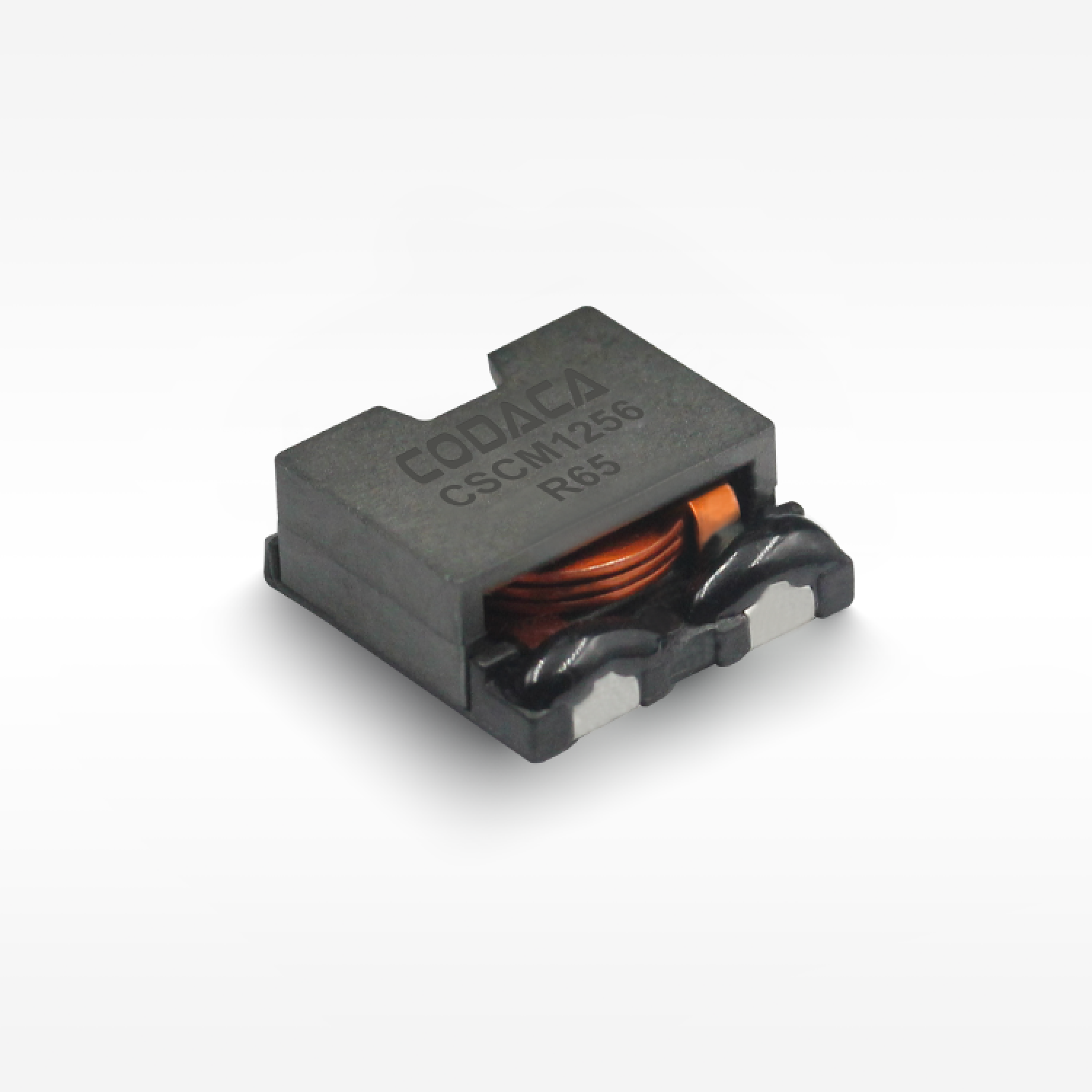 CSCM1256