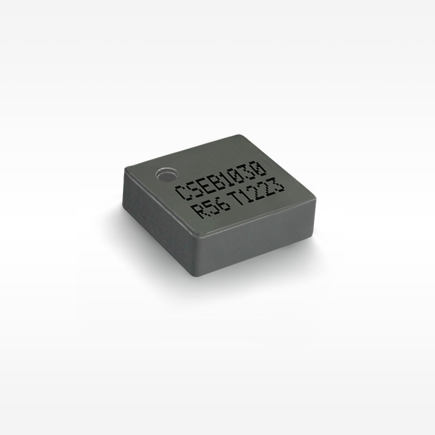 CSEB1030