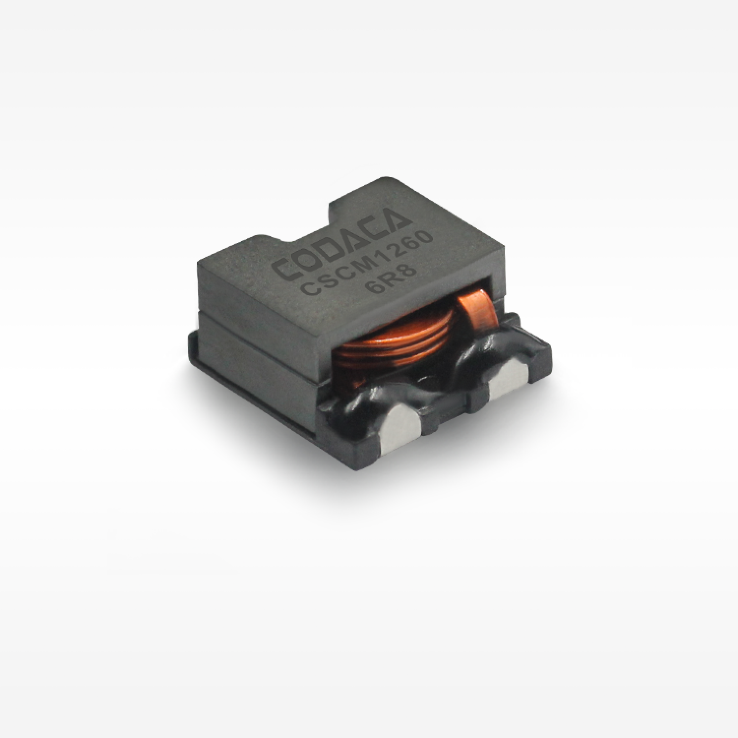 CSCM1260