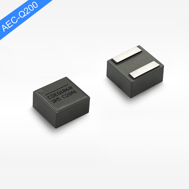 CSEG1060