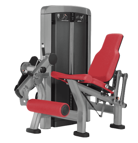 Top Hammer Fitness Equipment for Home and Commercial Gyms