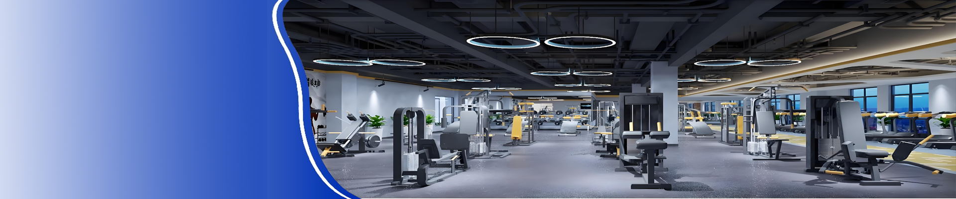 Reformer Pilates Equipment: Benefits and Full-Body Workouts