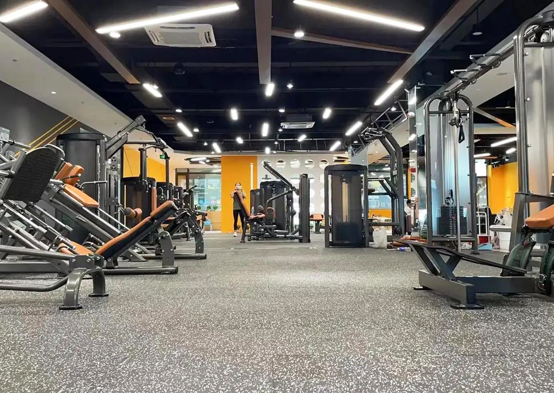 Una Mirada Más Cercana a la Línea de Entrenamiento de Fuerza de Hammer Fitness Equipment