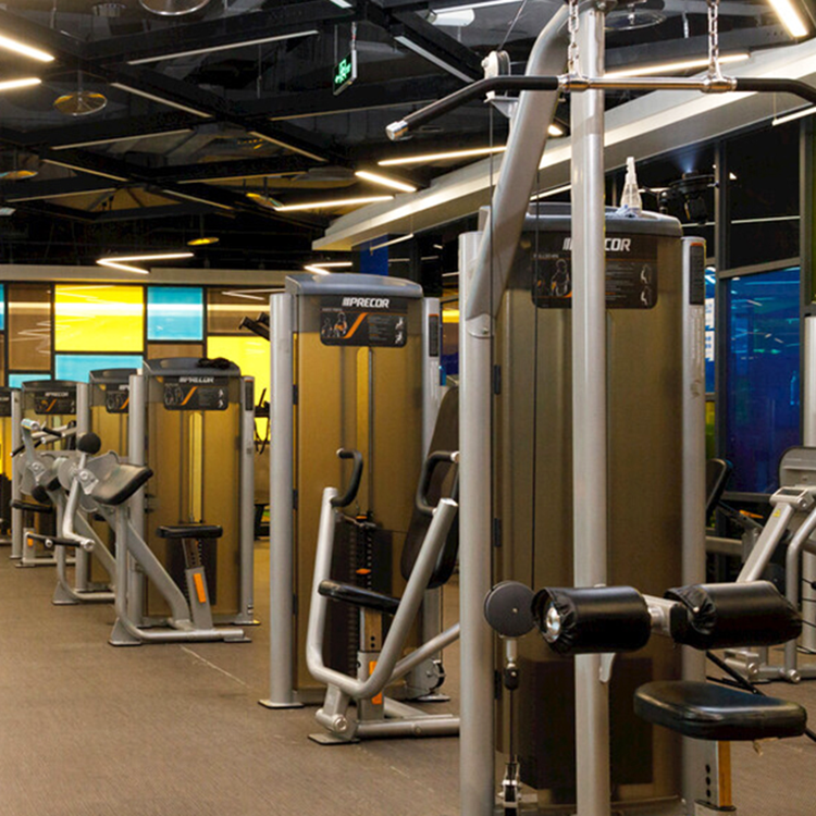 El Entrenador de la Serie Insert: Descubriendo su Potencial Oculto