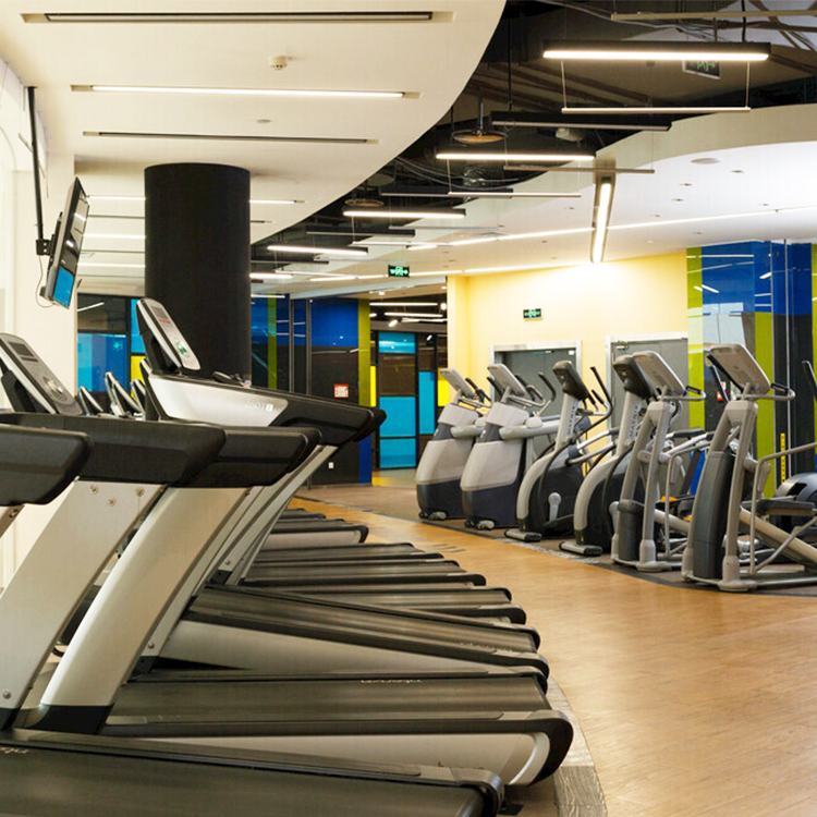 Equipo de Ejercicio Hammer: Invertir en tus Metas de Fitness