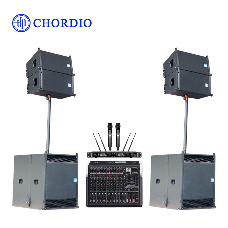 CH120 - Einzel 12 - Zoll Linearray-Lautsprecher