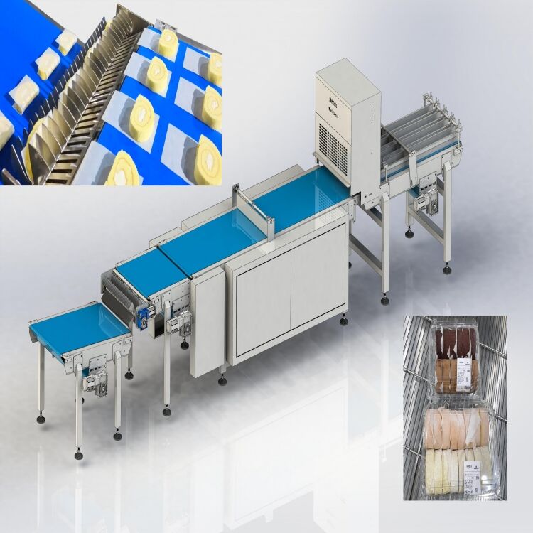 Wanlisp4-300K1450L2000 (plus) Swiss Roll Cutting Paper Packaging Machine