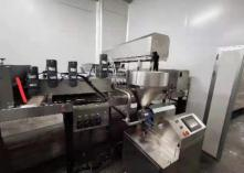 Wanlisp 888 Automatic Cake Production Line manufacture