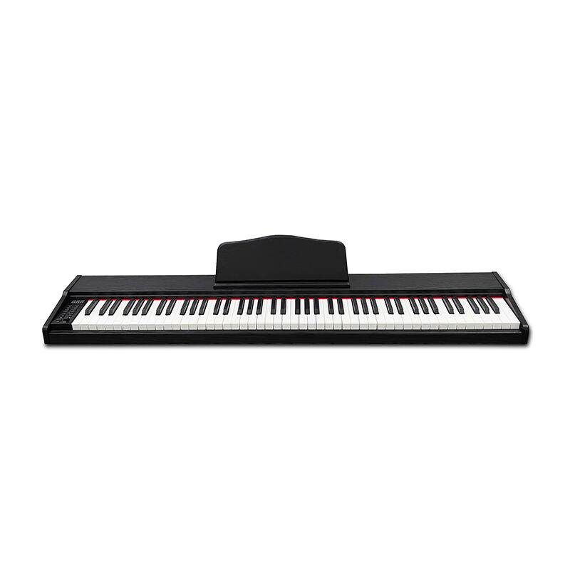 Electronic Organs vs Traditional Organs Which is Better