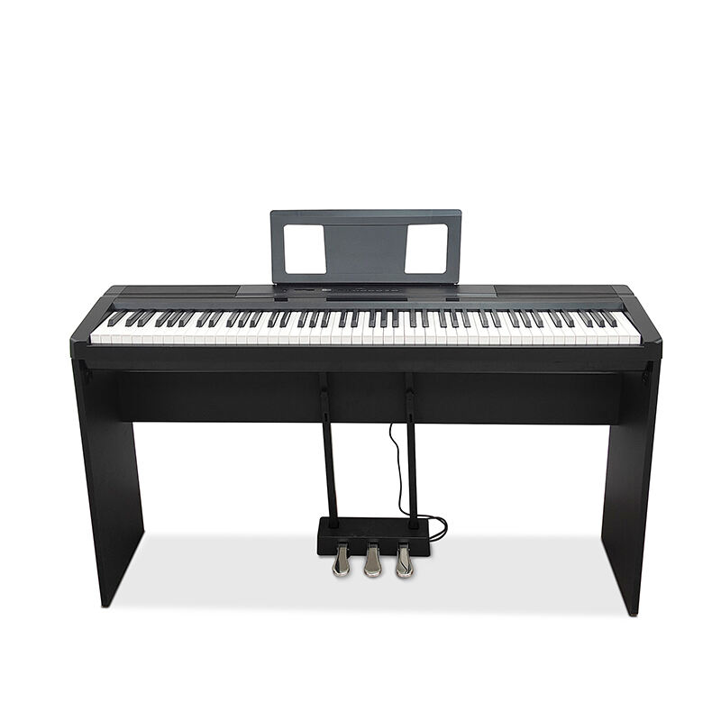 Selecting an Appropriate Electronic Organ for Your Needs