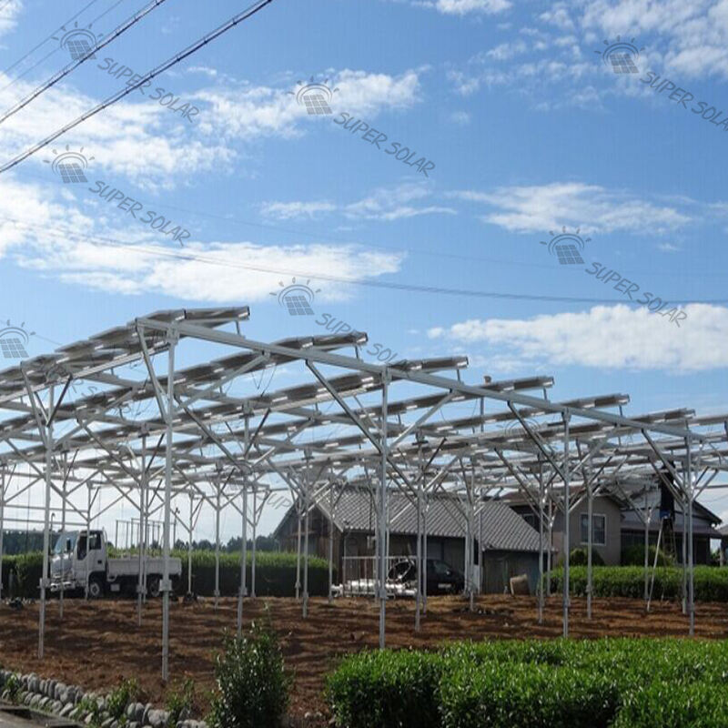 Agricultural PV farm solar panels