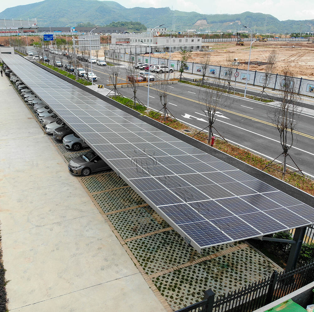 Advanced Weather Resilience and Structural Engineering