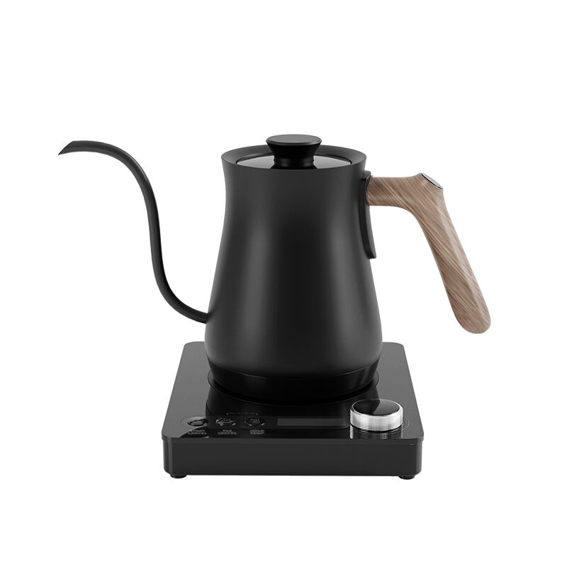 Electric gooseneck kettle HK01