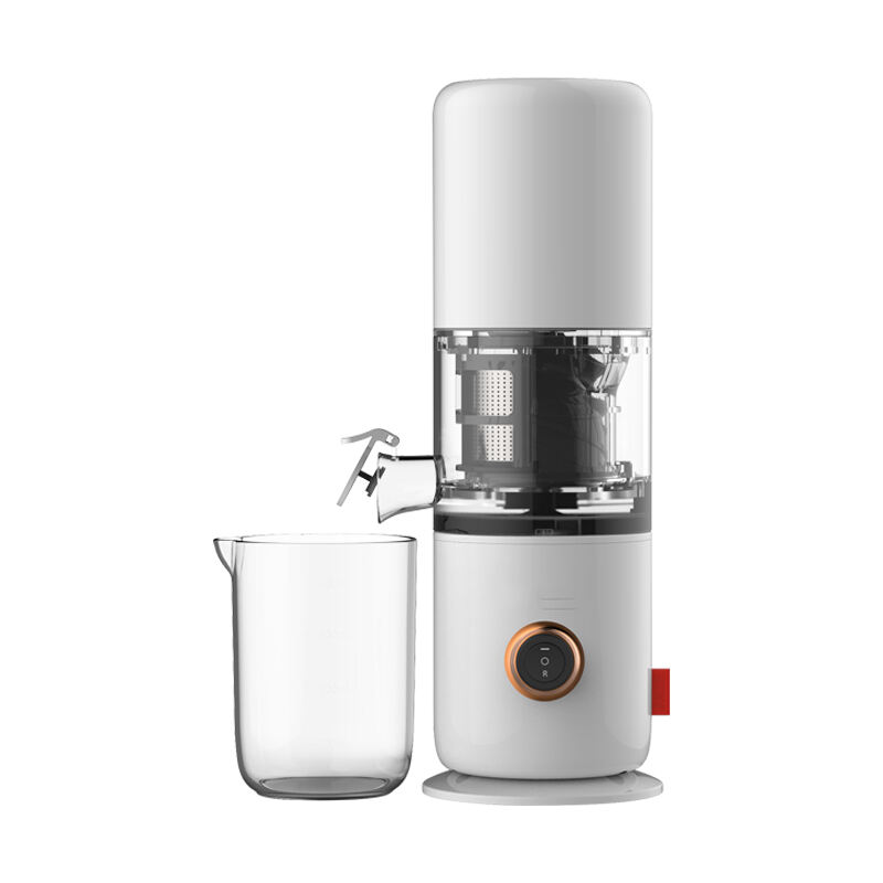 RANBEM Multi-Function Juicer: Blend, Juice, and More!