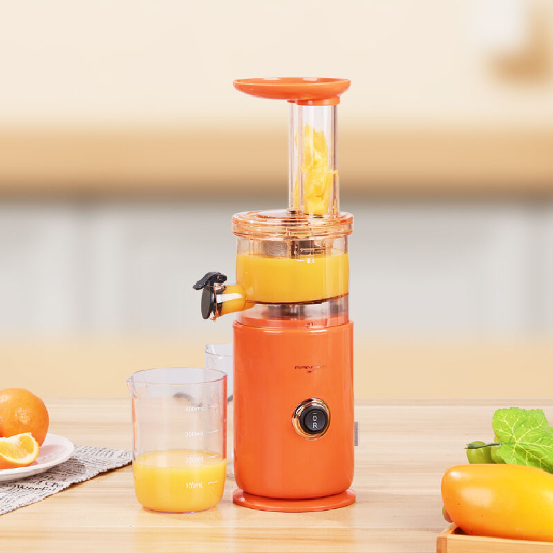 Filtre à Mailles Fines En Inox Pour Extracteur De Jus SBF11 - Accessoire De Rechange