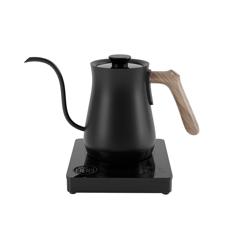 Electric gooseneck kettle HK02