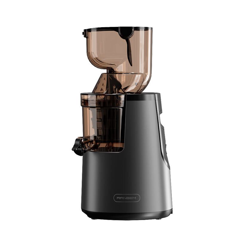 RANBEM Cold Press Juicer: Extract Pure Flavor and Nutrition!