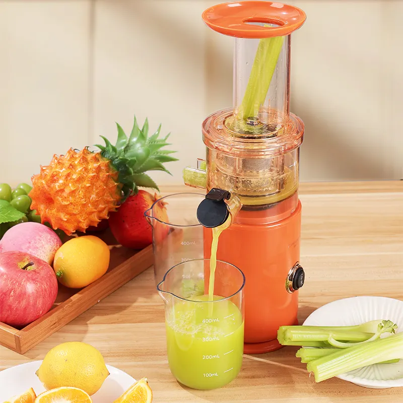 Slow Juicer 626B.webp