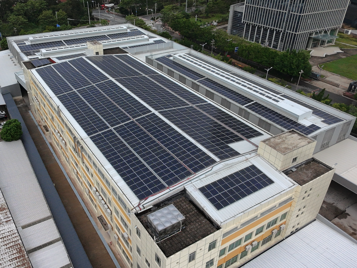 Environmental Impact and Sustainability Leadership