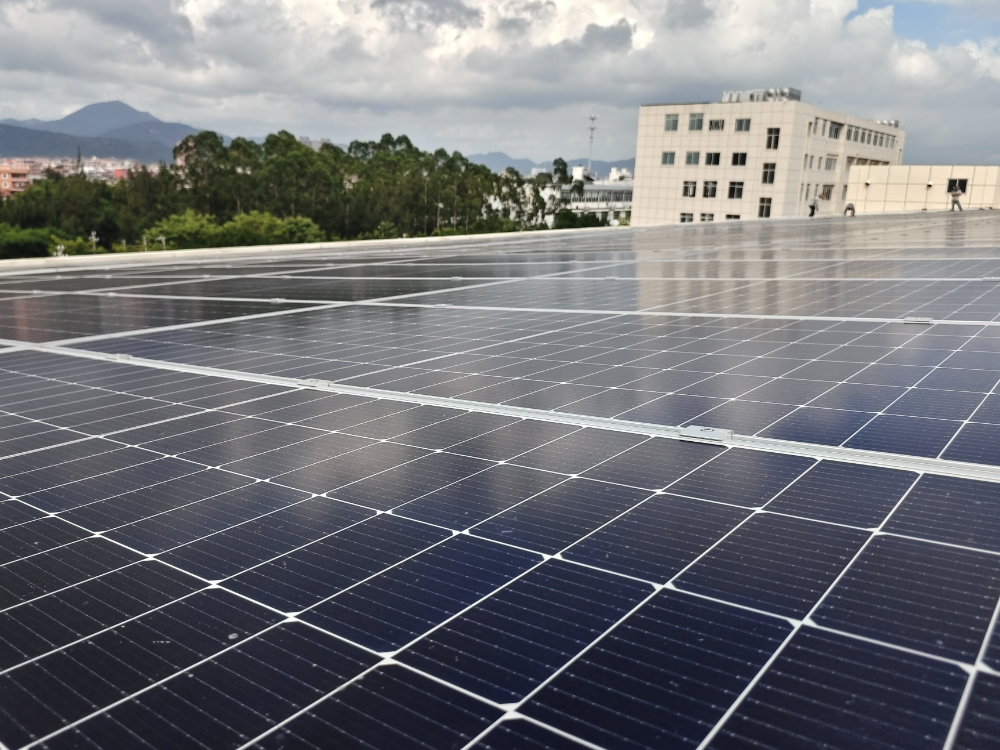 Exceptional Durability and Weather Resistance for Long-Term Performance