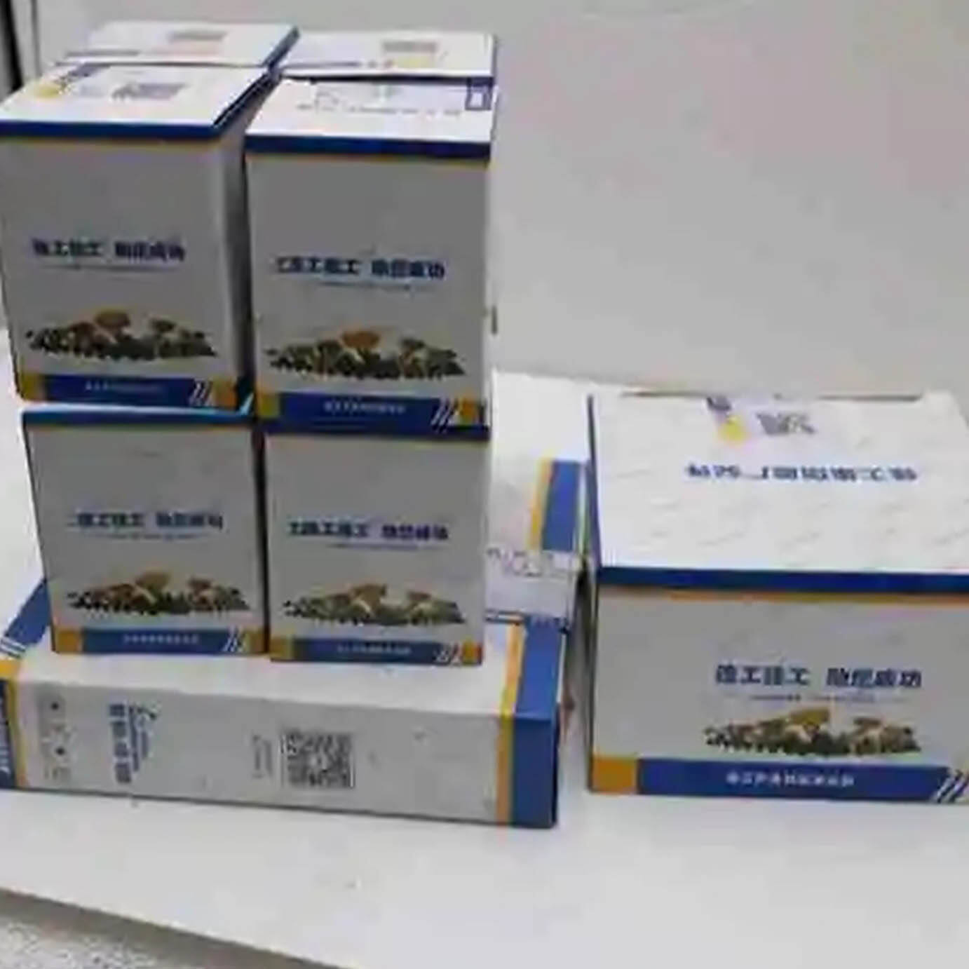 Top 5 Wholesale compactor parts