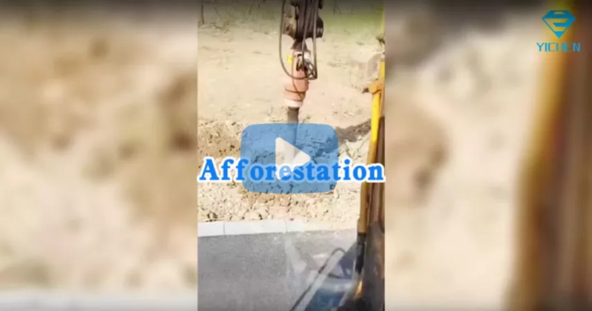 زراعة الأشجار باستخدام المثقاب