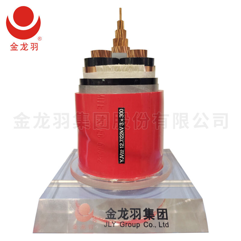 الدعم والاستشارة المستمرة