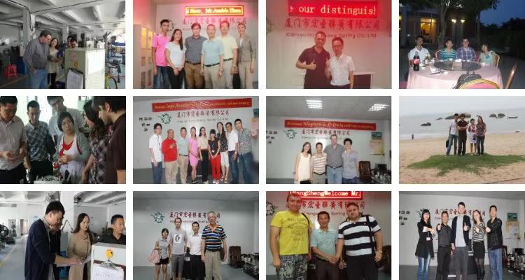 Hongsheng  Black Stainless Steel Wire Bending Forming factory