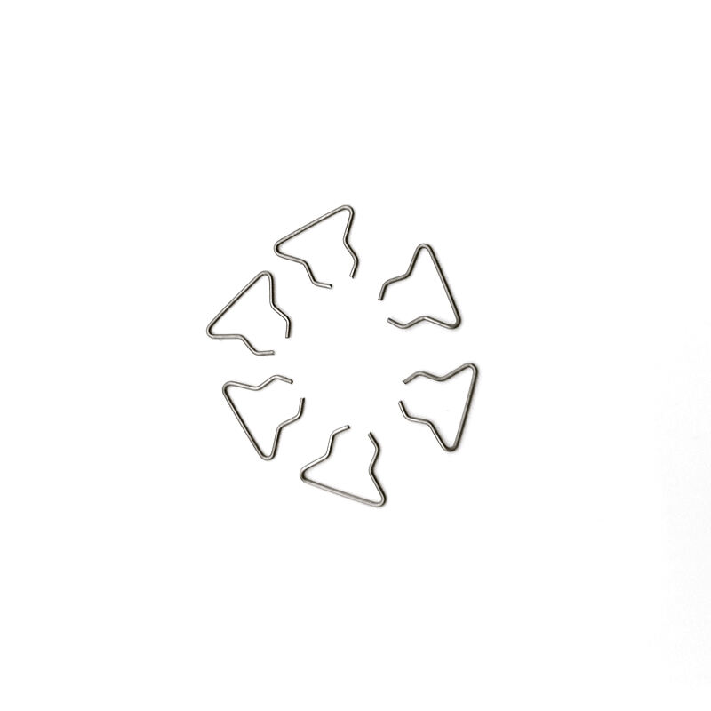 Hongsheng Stainless Steel Spring Wire Forming Metal Bending Spring Products