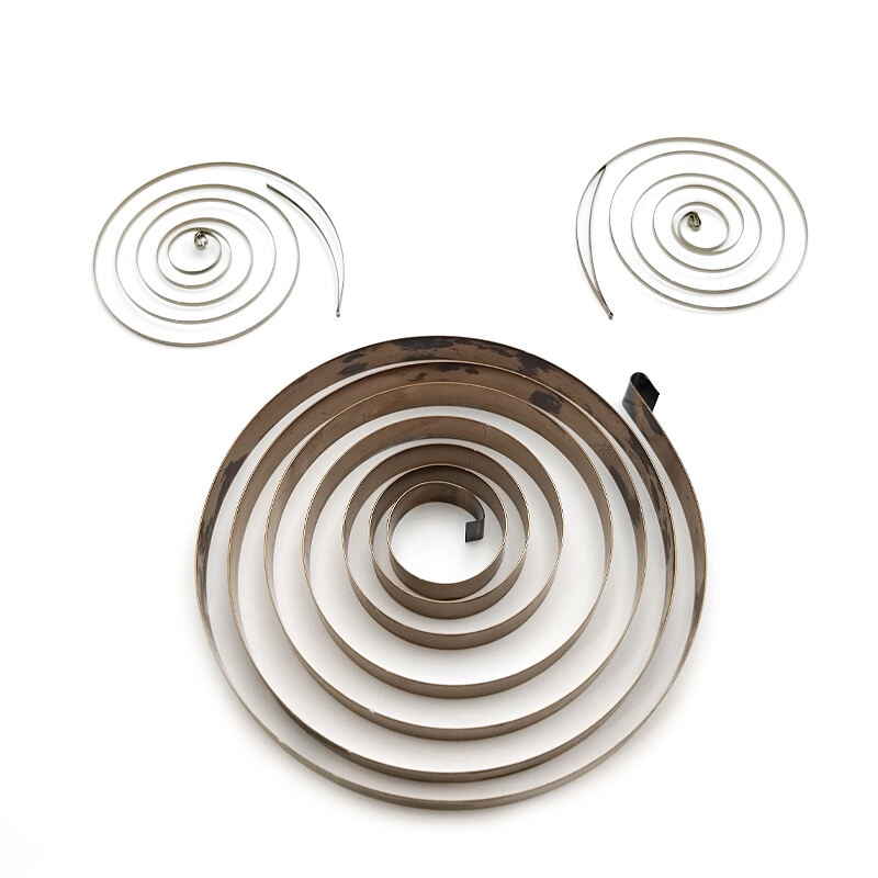 Fast Delivery Time Steel Flat Spiral Springs Constant Force Coil Spring