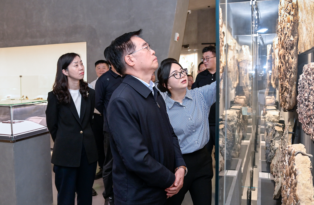 Zhou Lianqing, Secretary of the Party Leadership Group and Deputy Director of the Fujian Provincial People's Congress Standing Committee, Visits Yingliang Group for Inspection and Research (1).png