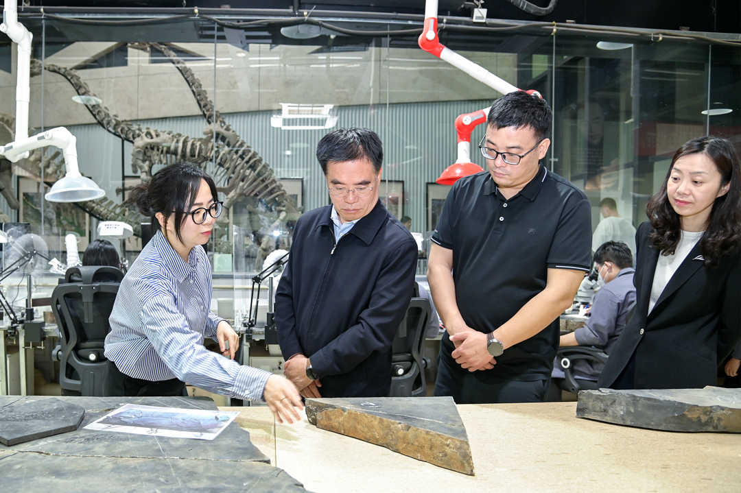 Zhou Lianqing, Secretary of the Party Leadership Group and Deputy Director of the Fujian Provincial People's Congress Standing Committee, Visits Yingliang Group for Inspection and Research (3).png