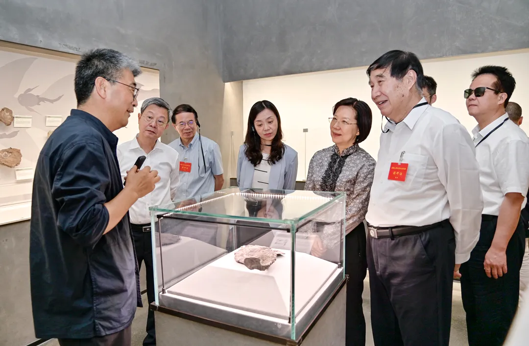 Fujian Provincial Delegation of National People's Congress Visits Yingliang Group for Inspection and Research (4).webp