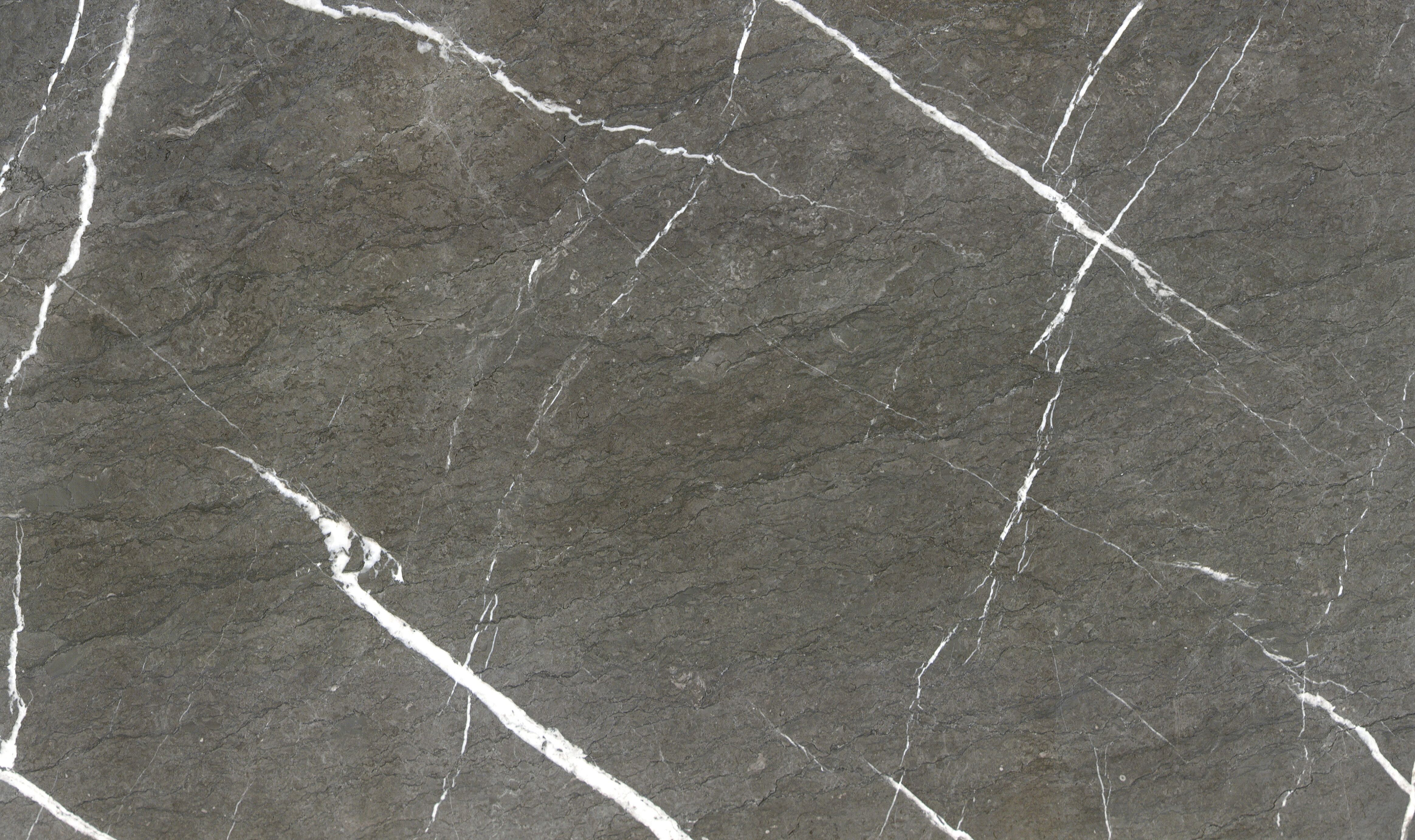 Noplian Grey Grey Natural Stone Slab with White Vein Texture