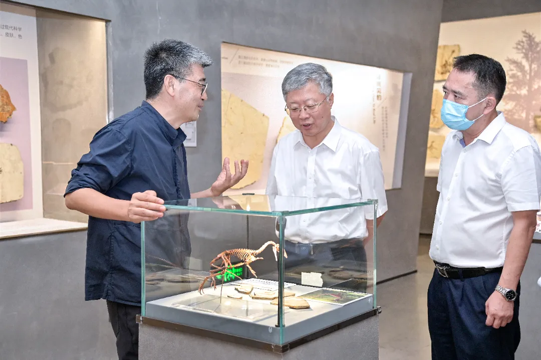 Fujian Provincial CPPCC Chairman Teng Jiacai Visits Yingliang Group for Inspection and Research (5).webp