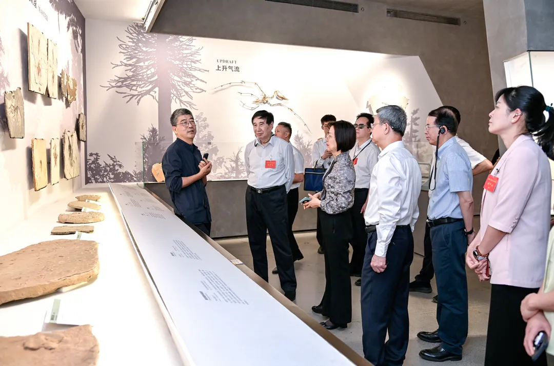 Fujian Provincial Delegation of National People's Congress Visits Yingliang Group for Inspection and Research (6).webp