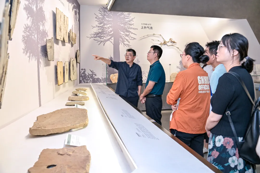 Wang Shilin, Secretary of the Party Committee and Executive Deputy Director of the National Museum of Nature, Visits Yingliang Group for Guidance (5).webp