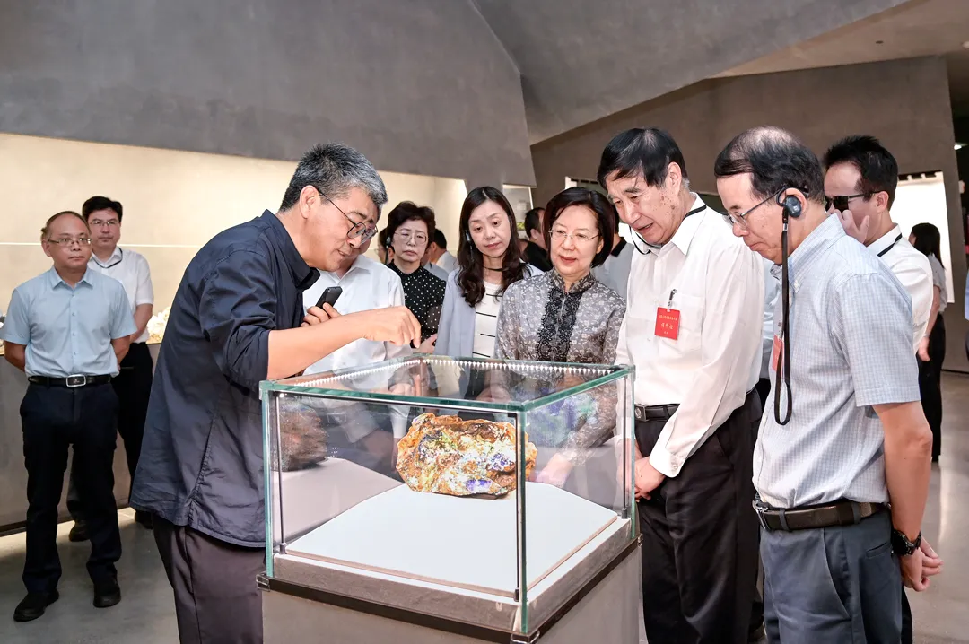 Fujian Provincial Delegation of National People's Congress Visits Yingliang Group for Inspection and Research (2).webp
