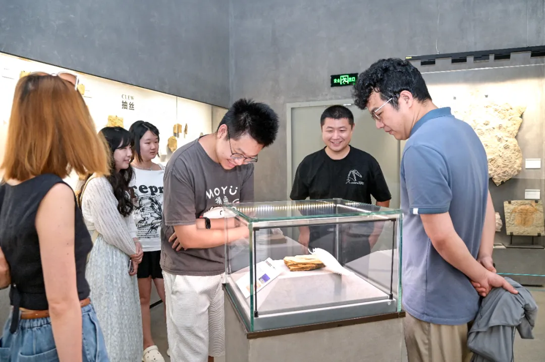 Fossil Specimen Donation Ceremony Held at Yingliang Museum by China University of Geosciences (Wuhan) (2).webp