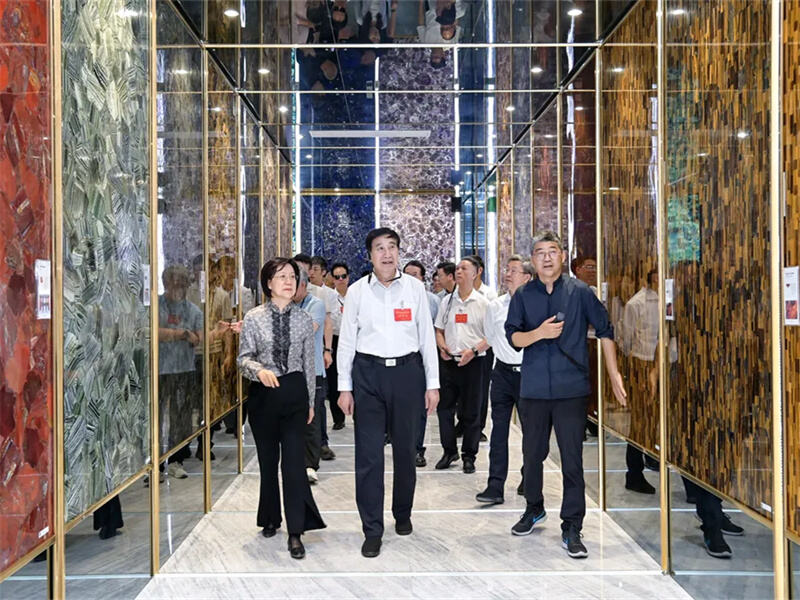 Đoàn đại biểu tỉnh Phúc Kiến của Đại hội Đại biểu Nhân dân Toàn quốc thăm Tập đoàn Anh Lượng để kiểm tra và nghiên cứu