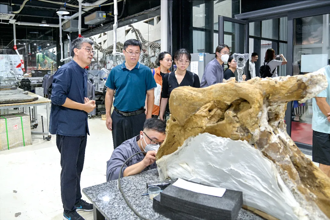 Wang Shilin, Secretary of the Party Committee and Executive Deputy Director of the National Museum of Nature, Visits Yingliang Group for Guidance (7).webp