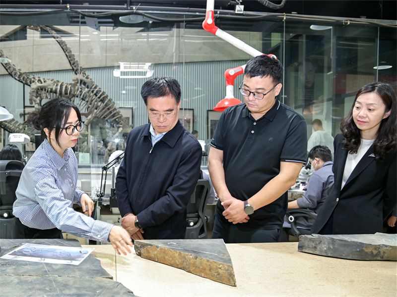 Ông Chu Liên Thanh, Bí thư Nhóm Lãnh đạo Đảng và Phó Chủ nhiệm Ủy ban Thường vụ Đại hội Đại biểu Nhân dân tỉnh Phúc Kiến, đến Tập đoàn Anh Lượng để kiểm tra và nghiên cứu