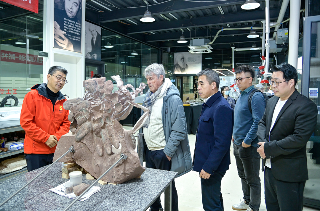 Former Head Coach of the Chinese National Men's Football Team Milu Visits Yingliang Group for Inspection (3).png