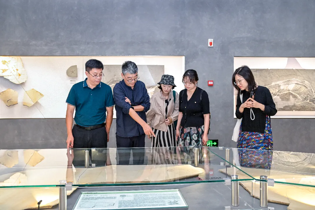 Wang Shilin, Secretary of the Party Committee and Executive Deputy Director of the National Museum of Nature, Visits Yingliang Group for Guidance (4).webp