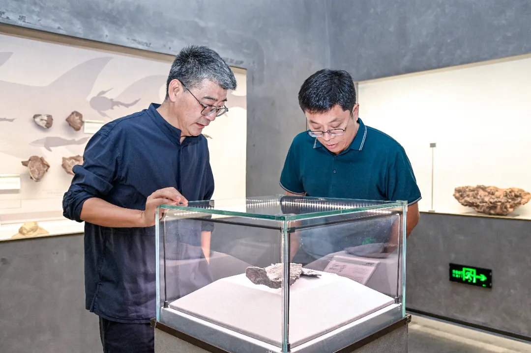 Wang Shilin, Secretary of the Party Committee and Executive Deputy Director of the National Museum of Nature, Visits Yingliang Group for Guidance (3).webp