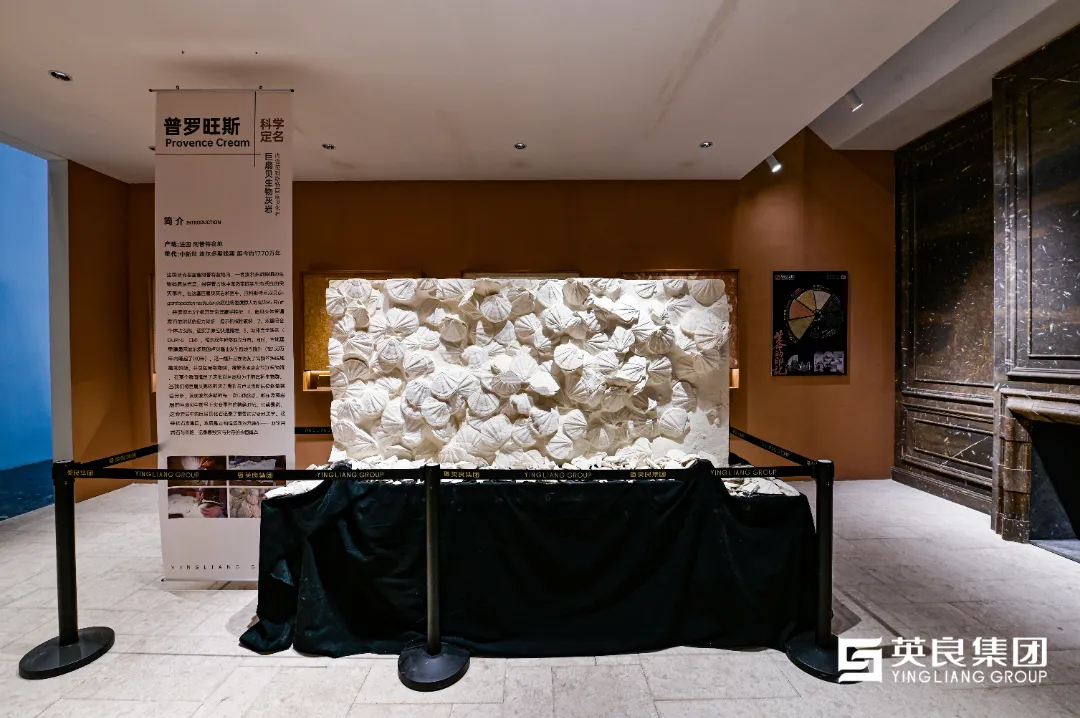 A Brilliant Finale Highlights of Yingliang Group at Xiamen Stone Fair (8).png